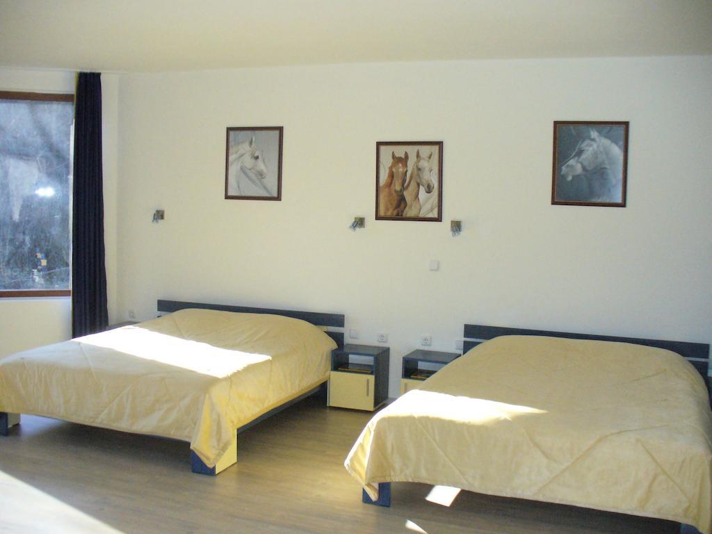 Guest House Alfa Daniel Balkanets  部屋 写真
